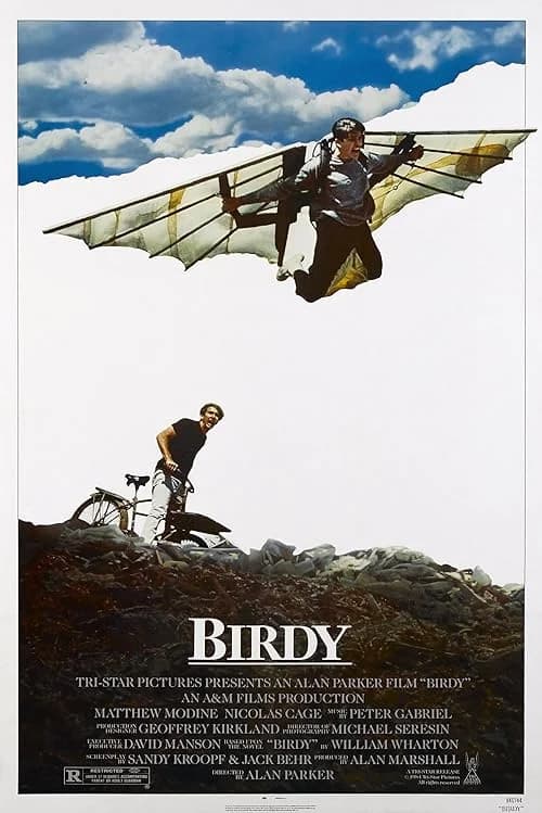 Birdy film posteri
